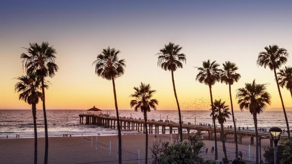 Holiday Inn Los Angeles - LAX Airport image 9